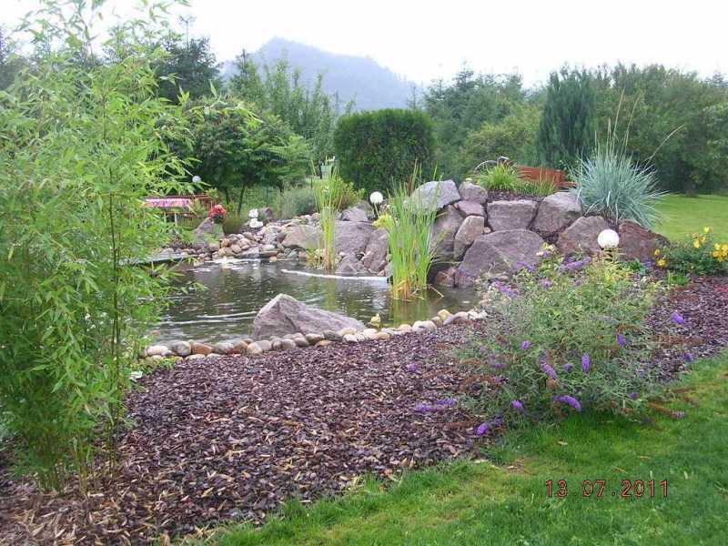 baradel-eau-bassin-et-ponton-11