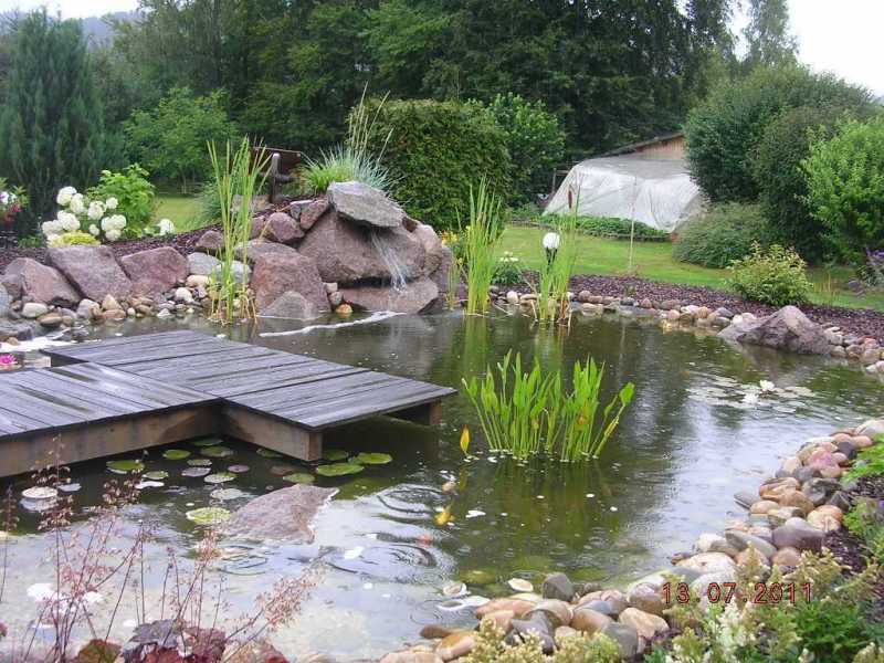 baradel-eau-bassin-et-ponton-6