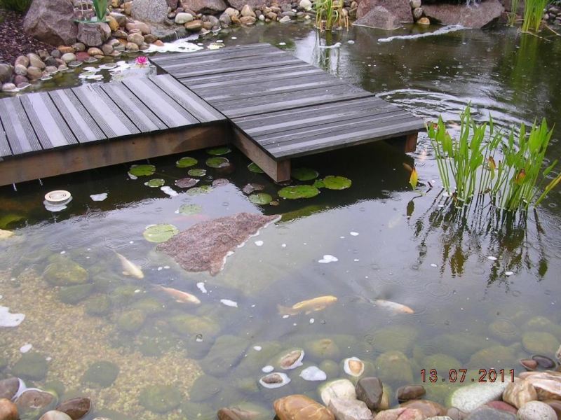 baradel-eau-bassin-et-ponton-7