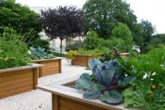carre-potager-sur-eleve-11-1