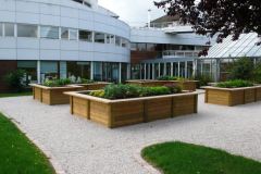 carre-potager-sur-eleve-12-1