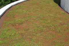 carre-potager-sur-eleve-14-1
