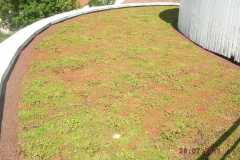 carre-potager-sur-eleve-15-1