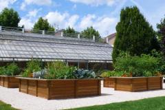 carre-potager-sur-eleve-4-1