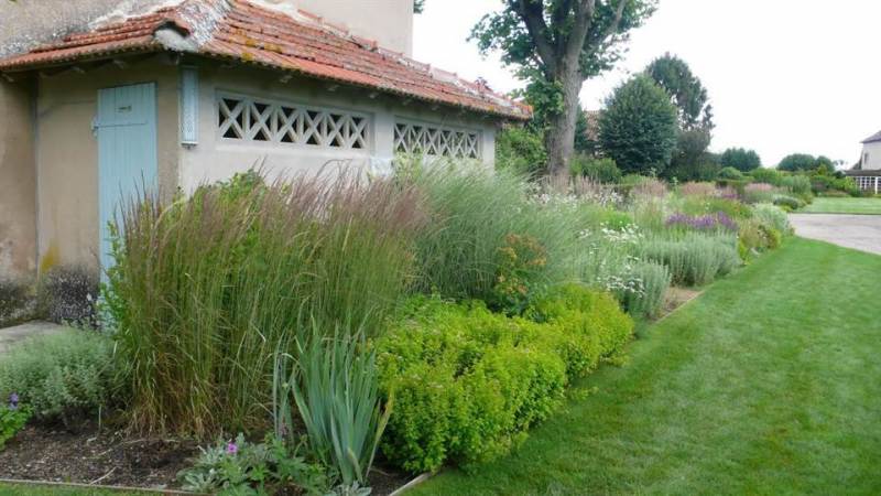 baradel-vegetal-11