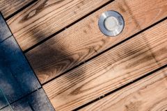 234_DSC9554-1-rotated