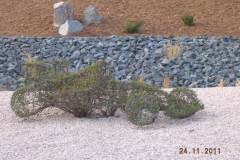 baradel-vegetal-12