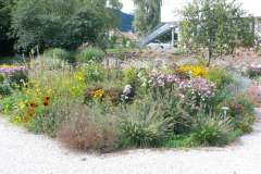 baradel-vegetal-14