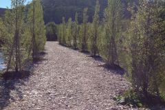 baradel-vegetal-4