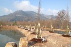 baradel-vegetal-5