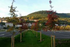baradel-parc-24