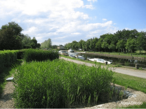 phytoepuration-1