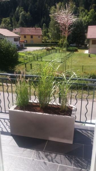 baradel-plantation-en-pot-3-scaled