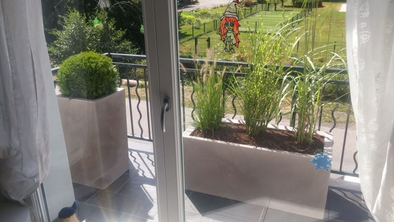 baradel-plantation-en-pot-4