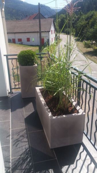 baradel-plantation-en-pot-5-scaled