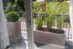 baradel-plantation-en-pot-4
