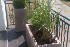 baradel-plantation-en-pot-5-scaled