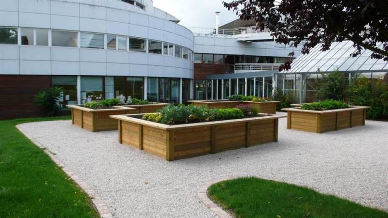 carre-potager-sur-eleve-12-1