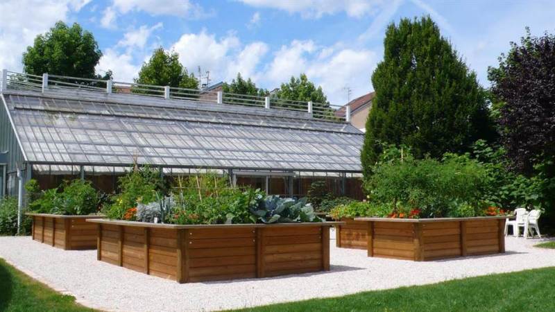 carre-potager-sur-eleve-4-1