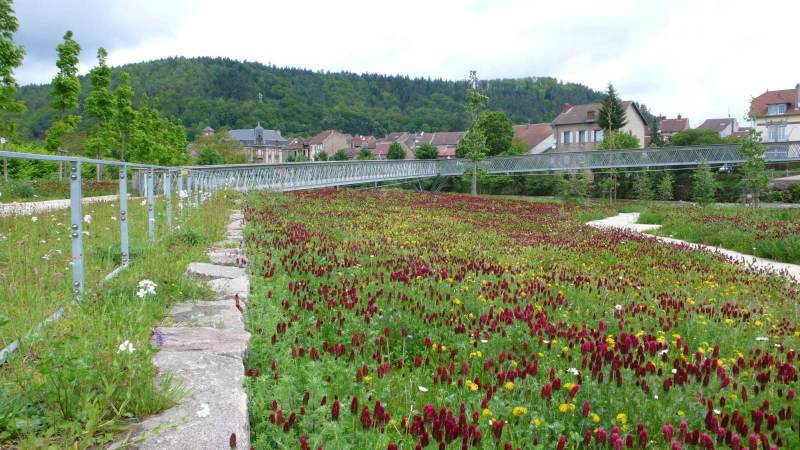 baradel-prairie-fleurie-1