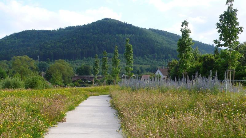 baradel-prairie-fleurie-5