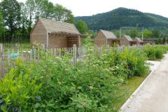 baradel-prairie-fleurie-2