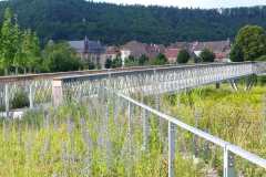 baradel-prairie-fleurie-4