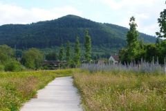 baradel-prairie-fleurie-5