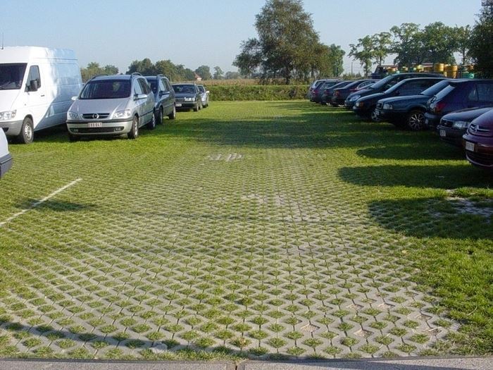 Grasbetontegel-Maasmechelen