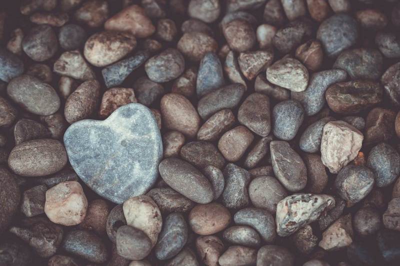 pexels-photo-6477070
