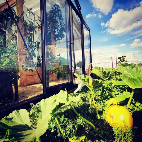 72fd224aaa98fa249770e824818305d7