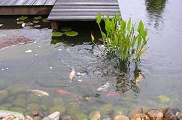 Baradel Paysage - L'Eau