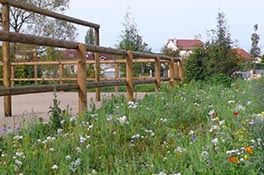 Baradel Paysage - Le végétal
