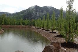 Baradel Paysage - Le végétal
