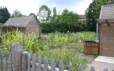 Création de jardin dans les Vosges