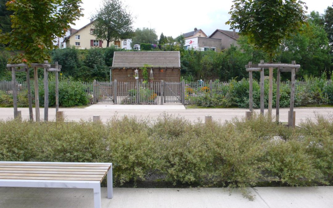 Végétaux et structure bois