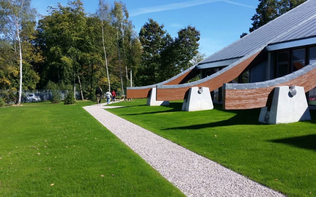 Gazon et circulation gravillon