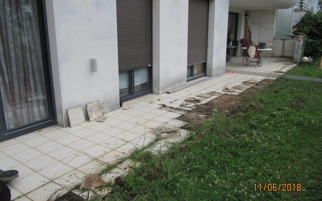 Terrasse bois et dallage