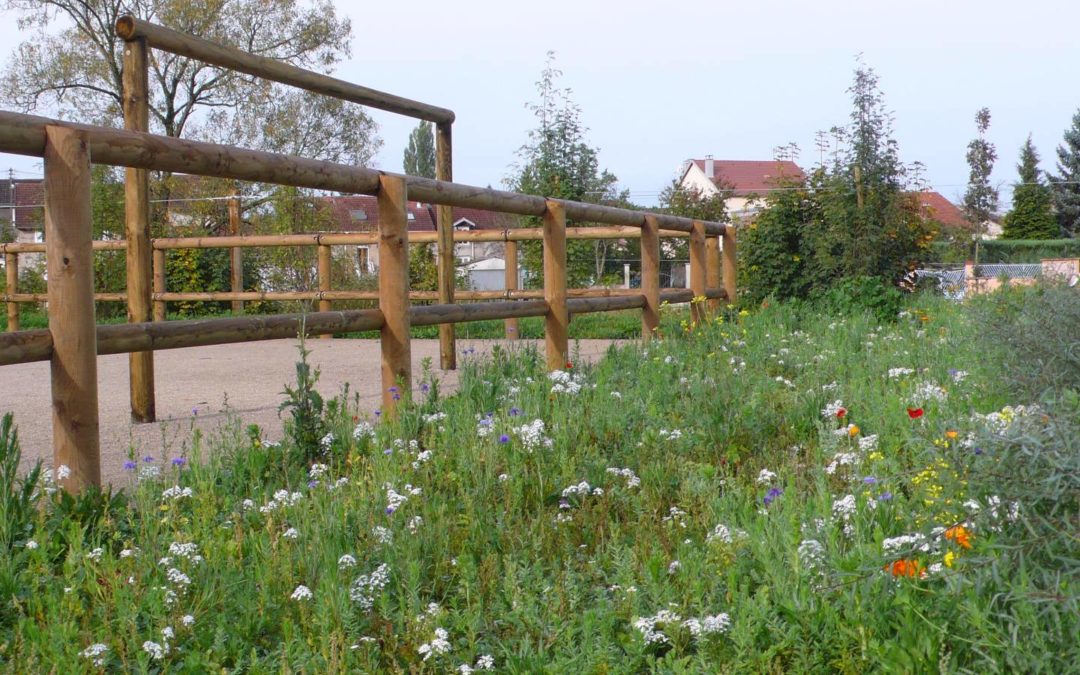 Végétaux et structure bois