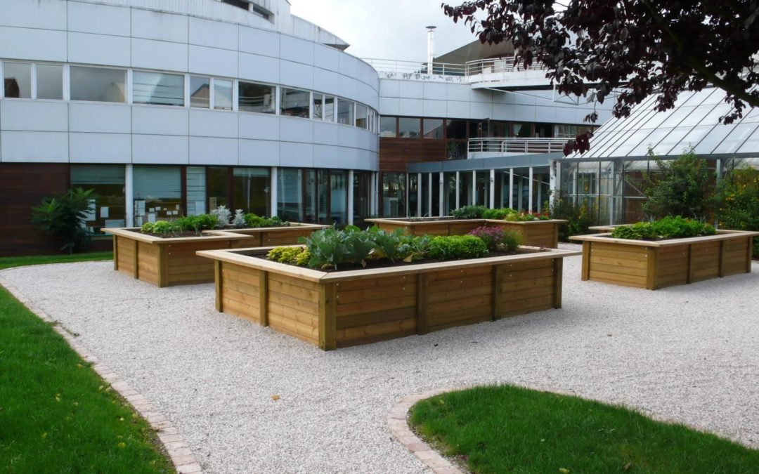 Carré potager surélevé