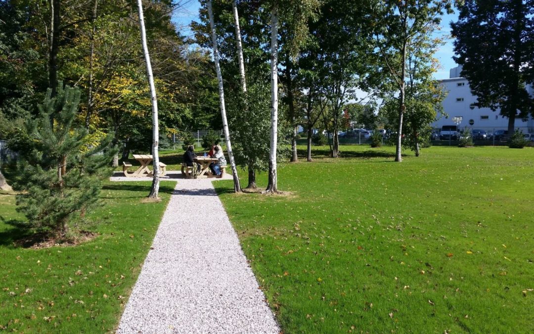 Gazon et circulation gravillon