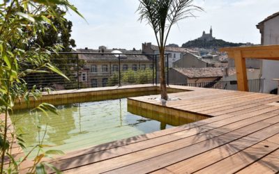 Création de piscine écologique à Saint-Dié