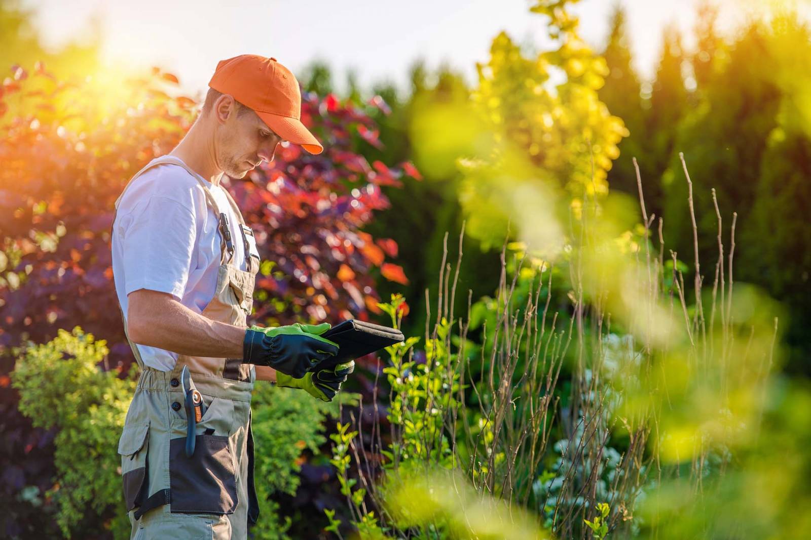 L&rsquo;Entretien pour clients Baradel Paysage