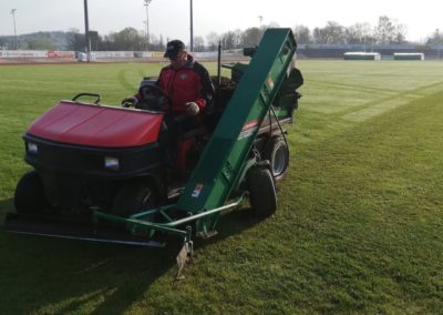 Ramassage des carottes