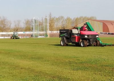 Ramassage des carottes