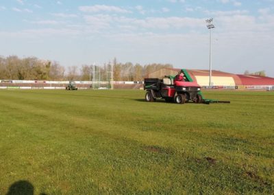 Ramassage des carottes