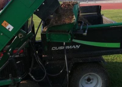 Ramassage des carottes