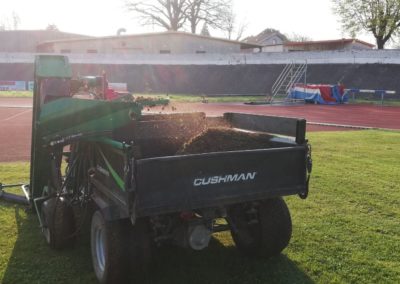 Ramassage des carottes