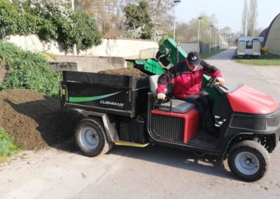 Ramassage des carottes