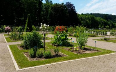 Aménagement de jardin à Saint-Dié